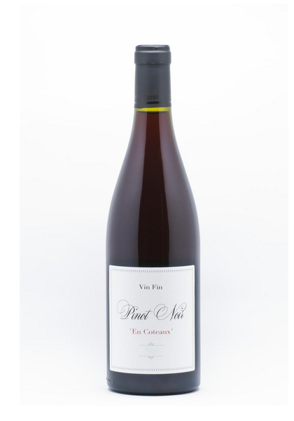 Chez le caviste - Jeff Carrel Pinot Noir 2019